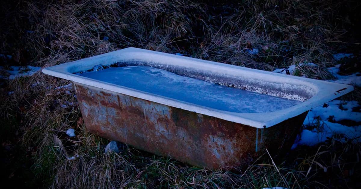 Cold Plunge Before or After Sauna: Which Order Wins?